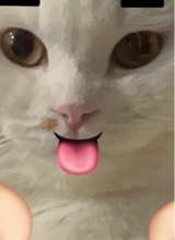 Guest_DaDa774583