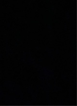 Guest_Dris28