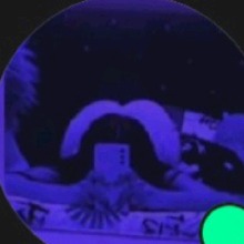 Guest_frenchbluevermil7f59