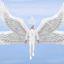 Guest_Robert505685