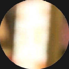 Guest_Wspxx4