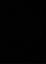 immagine avatar