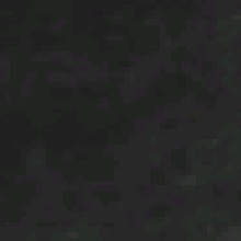 VinySilva3