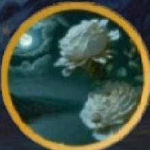 Guest_shallowmidnightb1310