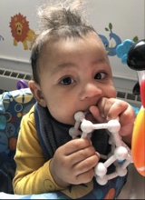 Lilpapabear
