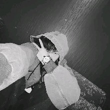 foto del avatar