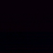 Guest_d704642