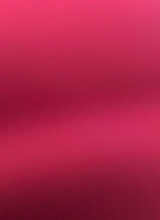 Guest_IVII41