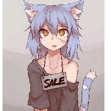 N4T
