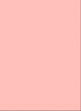 Guest_ruby587285