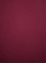 avatar resmi