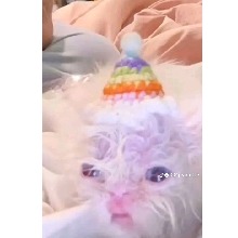 Guest_palatinedarktaup7b12