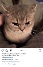 Guest_4Lua