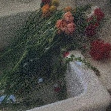 Guest_Emeraldgreen3