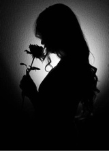 Guest_Sofy03