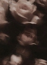 Guest_Dark7871