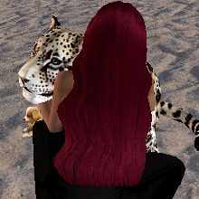 Guest_Amandaxx12