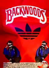 Guest_dkdksood