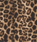 Guest_Bri550878