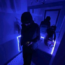 Guest_kot01