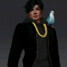 Guest_YinYang28