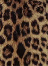 Guest_QveenJuice