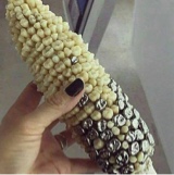 Guest_CornBite