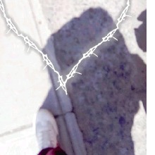 Guest_Nahomy482288