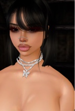 Guest_bronzecinereous4239