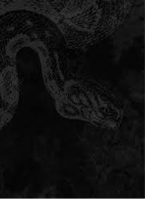 Guest_Prohibido5