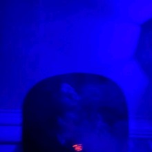 Guest_ae947017