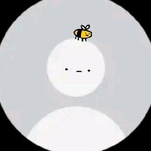 Guest_Papi841982
