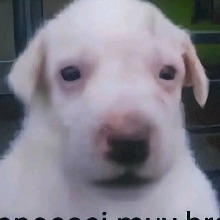 Guest_SebastianRoman2