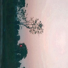 Guest_Mayaneee1