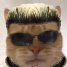Slytz