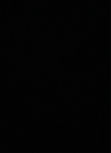 Guest_x540182