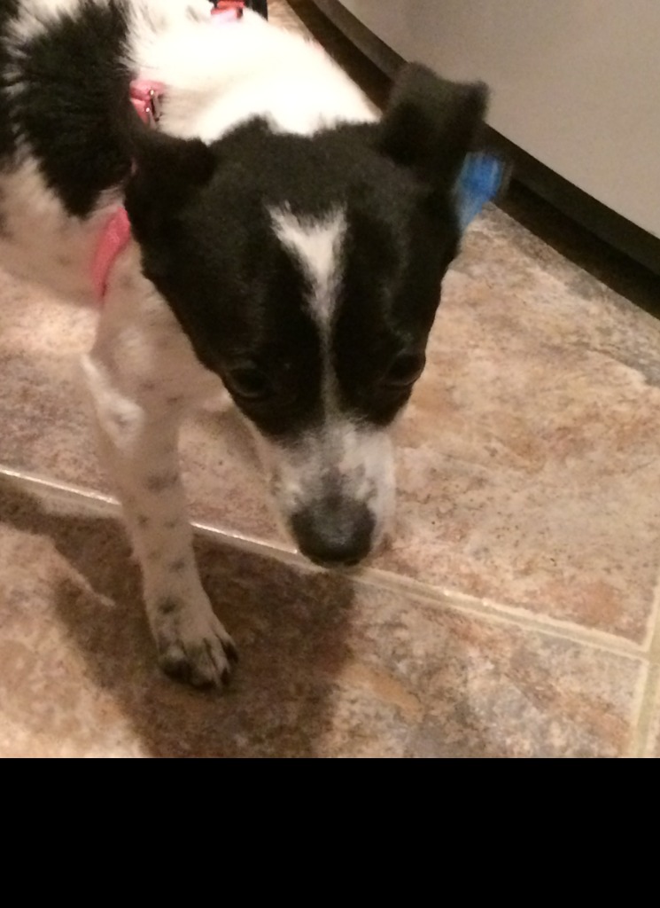 Guest_Kittygurl3
