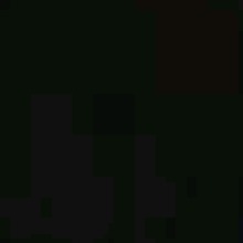 Guest_Eualeatoria1