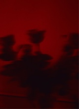 Guest_CouldntDisappoint