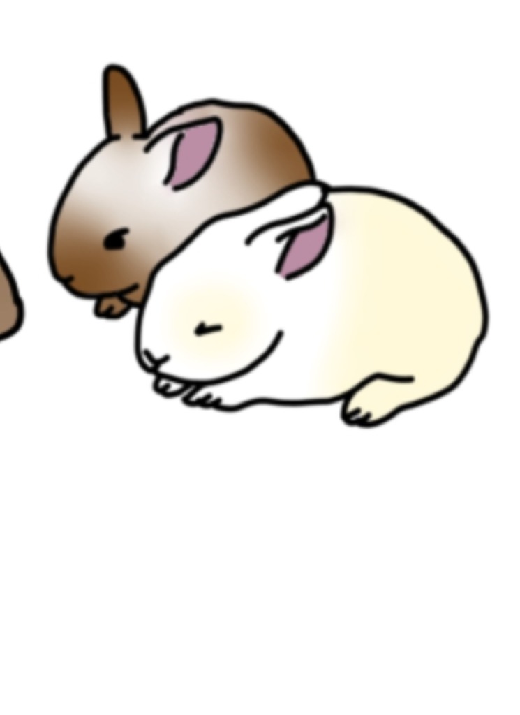 Guest_Chanhee2