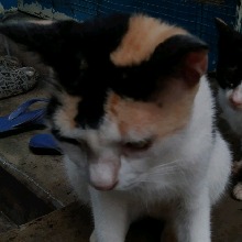 Guest_Moumita2