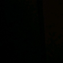 Guest_Rainhadele1