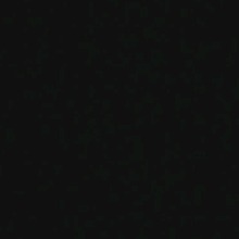 Guest_Moranguete221