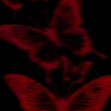 Guest_6L1Y8A7R2A5
