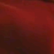 Guest_KattyFranculio