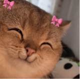 FEETY
