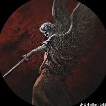Guest_risaldarcarrotor6046
