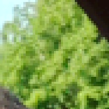 Guest_Cyrus740809