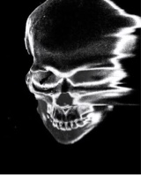 therealistshawnx