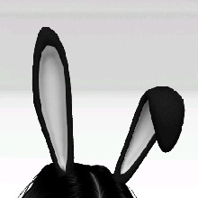Guest_kianaalmeida00